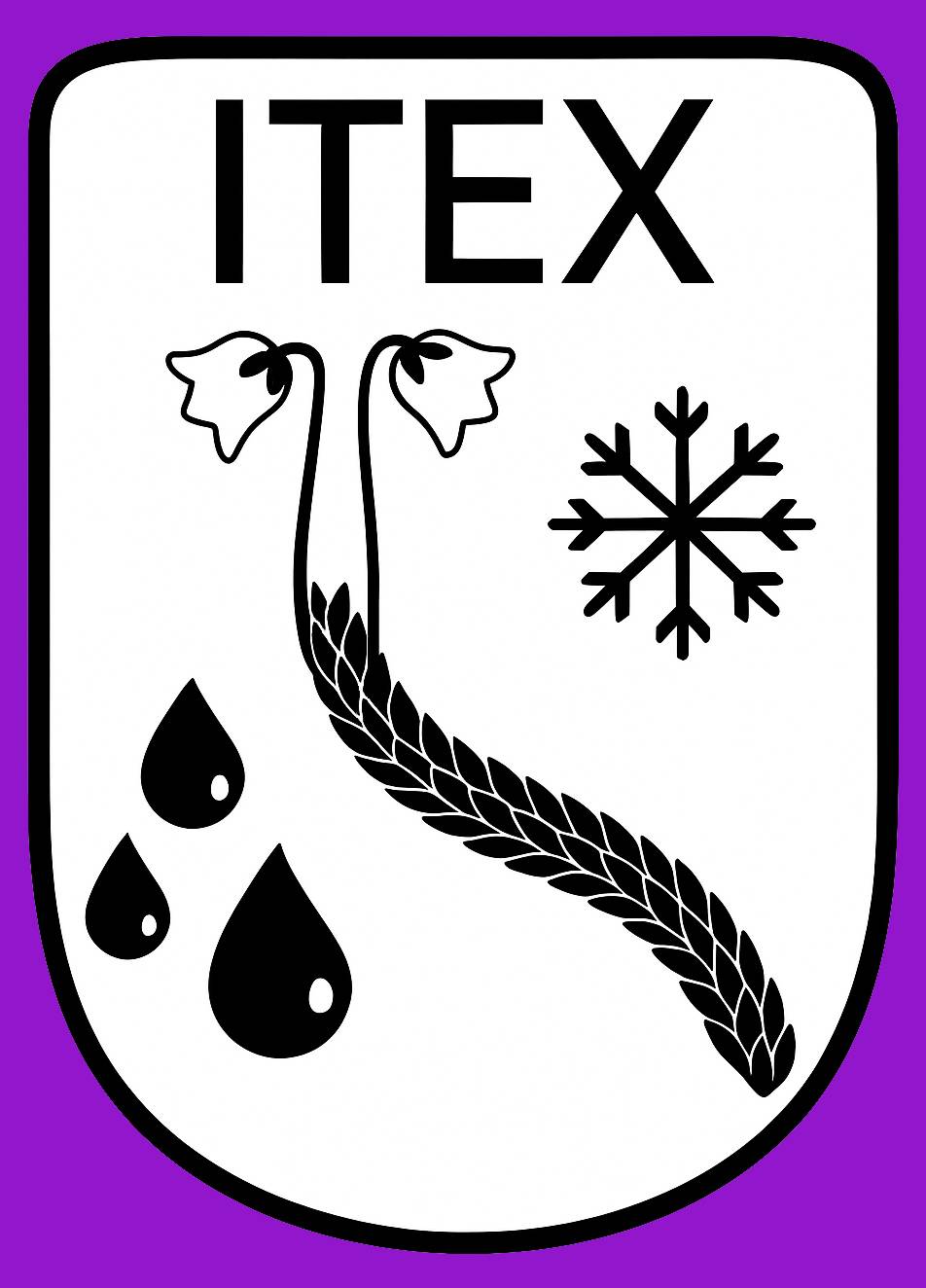 ITEX logo B&W JPG